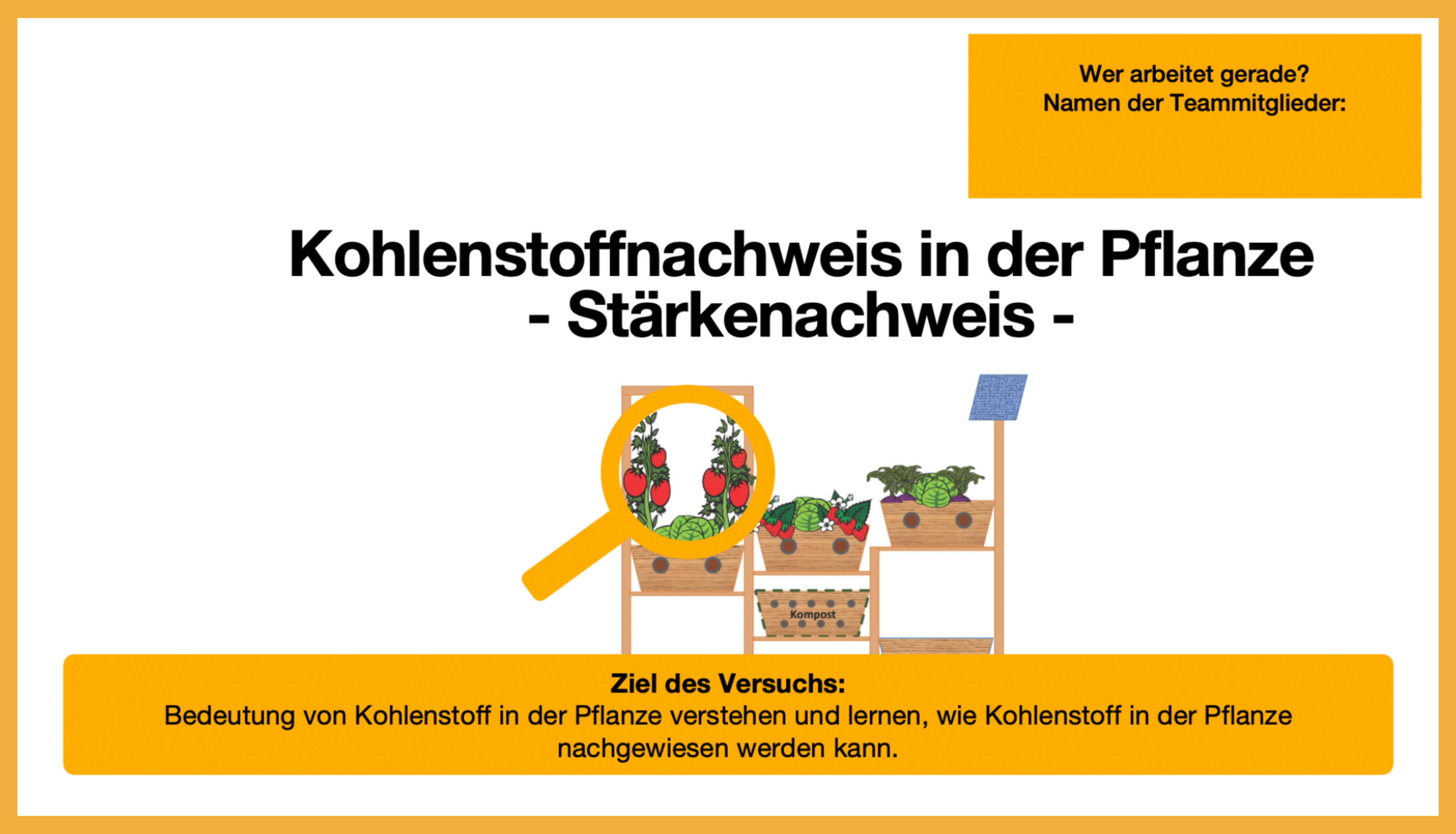 Präsentation zum Stärkenachweis