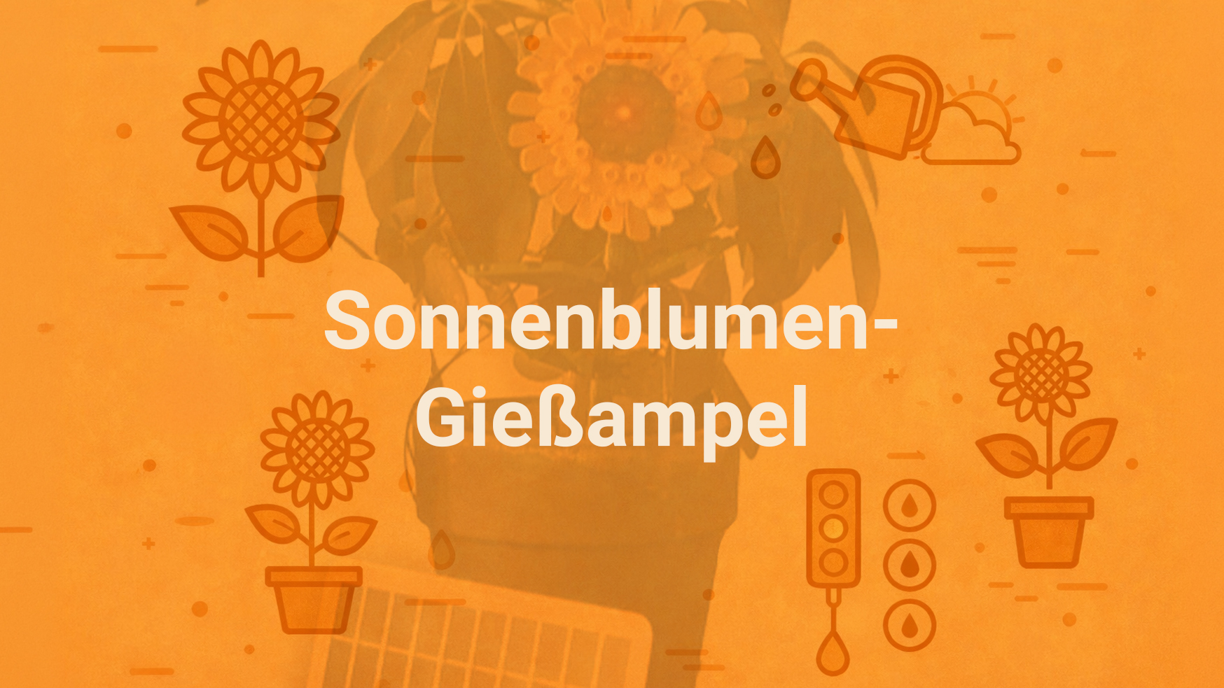 Sonnenblumen-Gießampel
