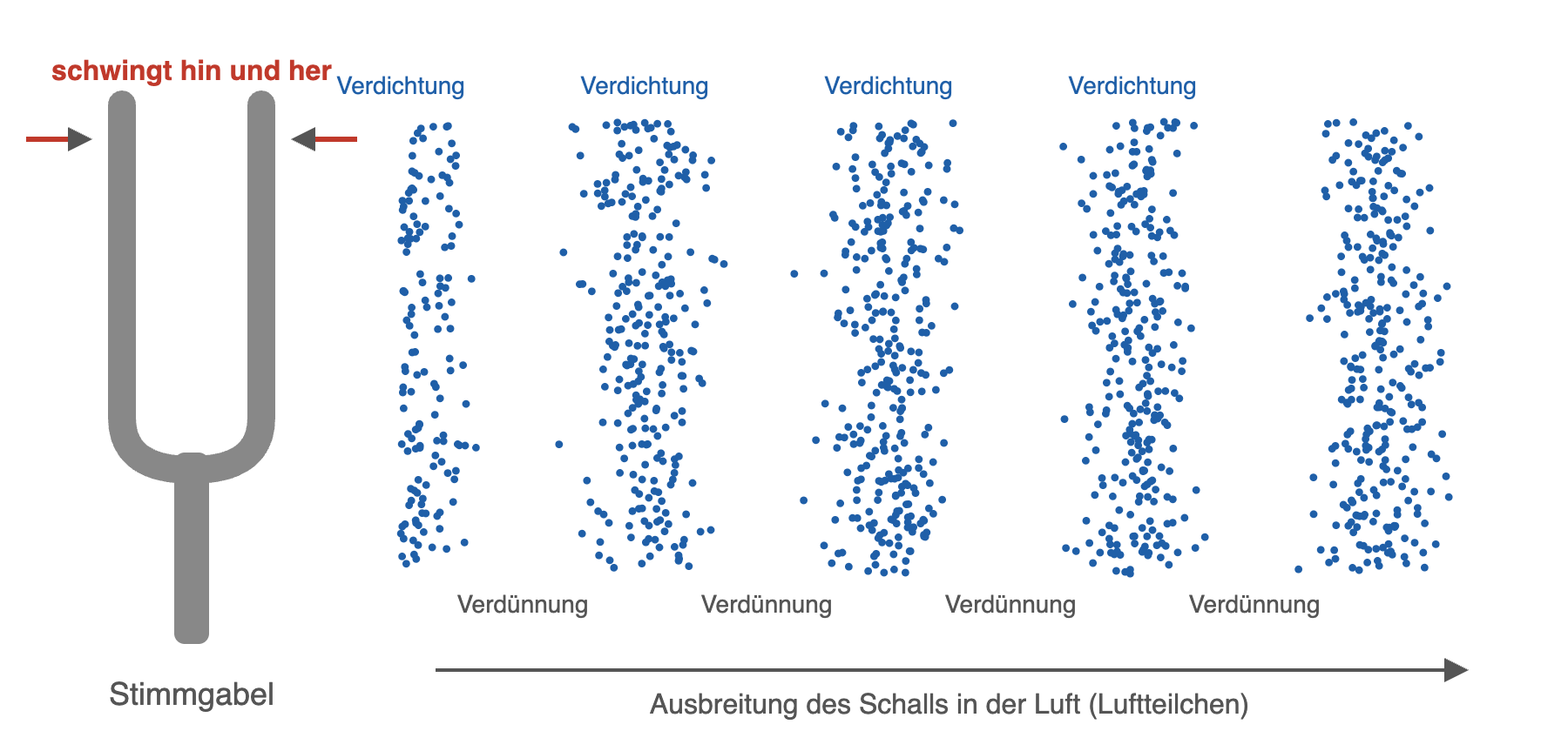 Abb. 1: Die schwingende Stimmgabel erzeugt in der Luft Verdichtungen und Verdünnungen, die sich ausbreiten.